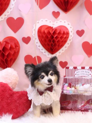 20240217虎ちゃん